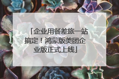 企业用餐差旅一站搞定！鸿蒙版美团企业版正式上线