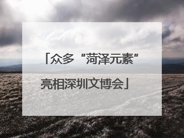 众多“菏泽元素”亮相深圳文博会