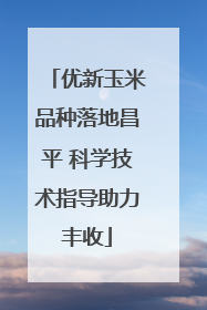 优新玉米品种落地昌平 科学技术指导助力丰收