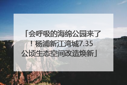 会呼吸的海绵公园来了！杨浦新江湾城7.35公顷生态空间改造焕新