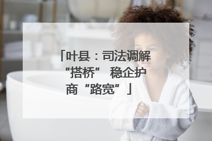 叶县：司法调解“搭桥” 稳企护商“路宽”