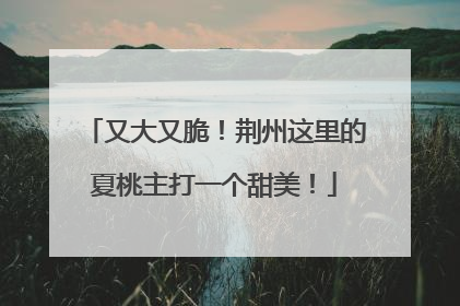 又大又脆！荆州这里的夏桃主打一个甜美！