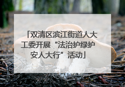 双清区滨江街道人大工委开展“法治护绿护安人大行”活动