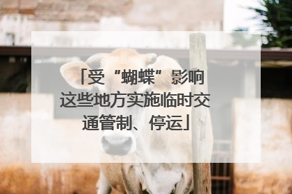 受“蝴蝶”影响 这些地方实施临时交通管制、停运