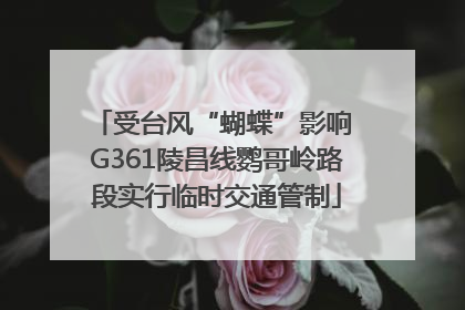 受台风“蝴蝶”影响 G361陵昌线鹦哥岭路段实行临时交通管制