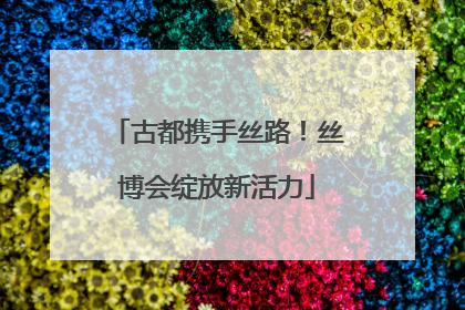 古都携手丝路！丝博会绽放新活力