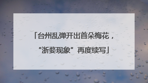台州乱弹开出首朵梅花，“浙婺现象”再度续写