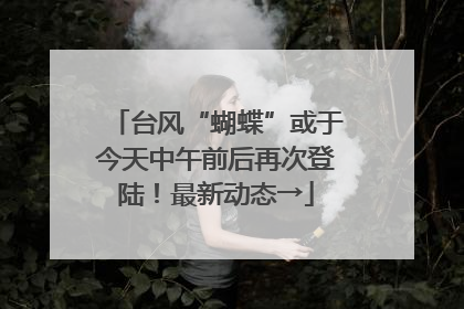 台风“蝴蝶”或于今天中午前后再次登陆！最新动态→