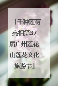 千种莲荷亮相第37届广州莲花山莲花文化旅游节
