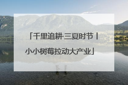千里追耕·三夏时节丨小小树莓拉动大产业
