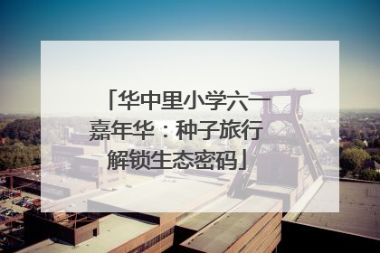 华中里小学六一嘉年华：种子旅行解锁生态密码