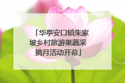 华亭安口镇朱家坡乡村旅游果蔬采摘月活动开幕