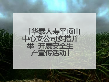 华泰人寿平顶山中心支公司多措并举  开展安全生产宣传活动