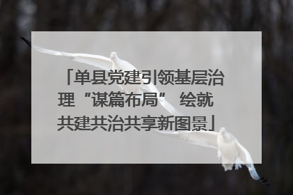 单县党建引领基层治理“谋篇布局” 绘就共建共治共享新图景