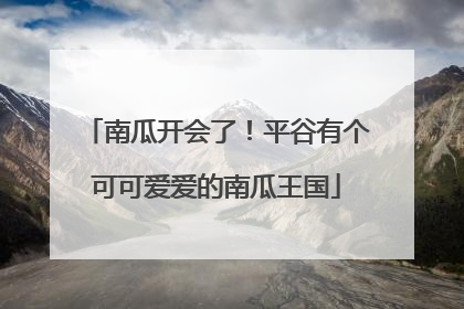 南瓜开会了！平谷有个可可爱爱的南瓜王国