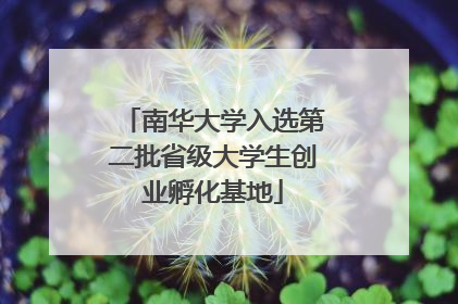 南华大学入选第二批省级大学生创业孵化基地