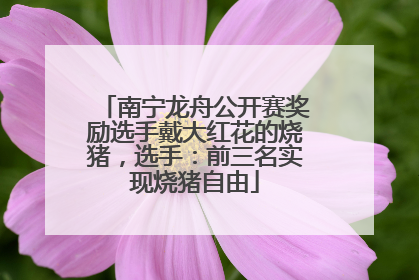 南宁龙舟公开赛奖励选手戴大红花的烧猪，选手：前三名实现烧猪自由