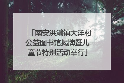南安洪濑镇大洋村公益图书馆揭牌暨儿童节特别活动举行