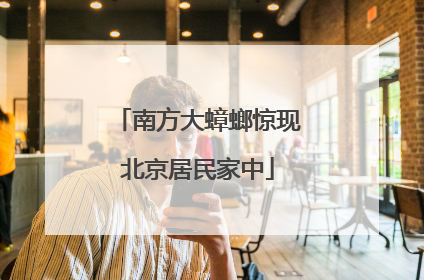 南方大蟑螂惊现北京居民家中
