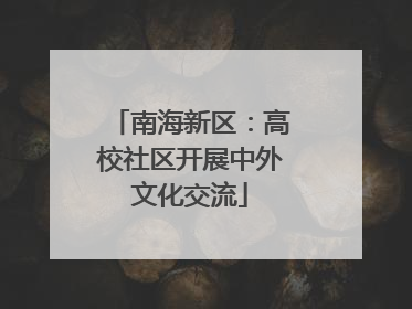 南海新区：高校社区开展中外文化交流