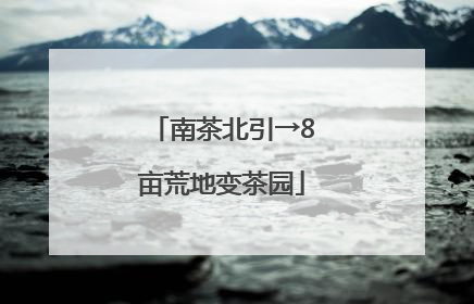 南茶北引→8亩荒地变茶园