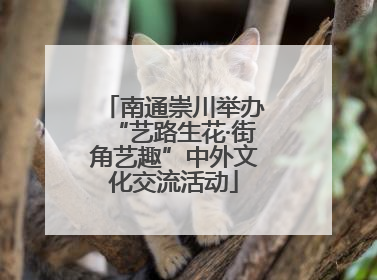 南通崇川举办“艺路生花·街角艺趣”中外文化交流活动