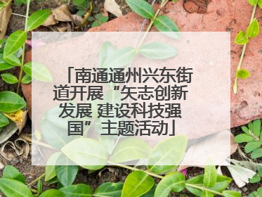 南通通州兴东街道开展“矢志创新发展 建设科技强国”主题活动