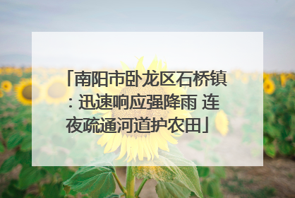 南阳市卧龙区石桥镇：迅速响应强降雨 连夜疏通河道护农田
