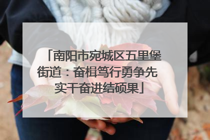 南阳市宛城区五里堡街道：奋楫笃行勇争先 实干奋进结硕果