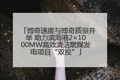 博奇速度与博奇质量并举 助力滨海港2×1000MW高效清洁燃煤发电项目“双投”