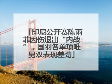 印尼公开赛陈雨菲因伤退出“内战”，国羽各单项唯男双表现差劲
