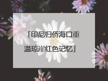 印尼归侨海口重温琼崖红色记忆