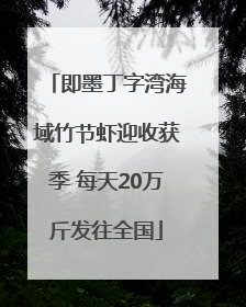 即墨丁字湾海域竹节虾迎收获季 每天20万斤发往全国