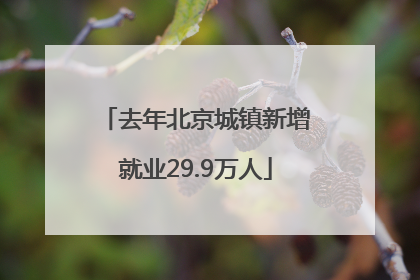 去年北京城镇新增就业29.9万人