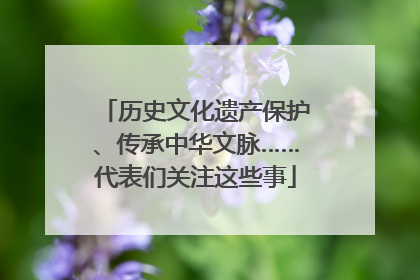 历史文化遗产保护、传承中华文脉……代表们关注这些事