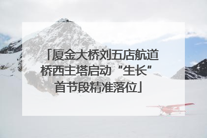 厦金大桥刘五店航道桥西主塔启动“生长” 首节段精准落位