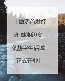 做活首发经济 赣湘边奥莱数字生活城正式开业