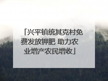 兴平镇统其克村免费发放钾肥 助力农业增产农民增收