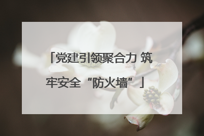 党建引领聚合力 筑牢安全“防火墙”