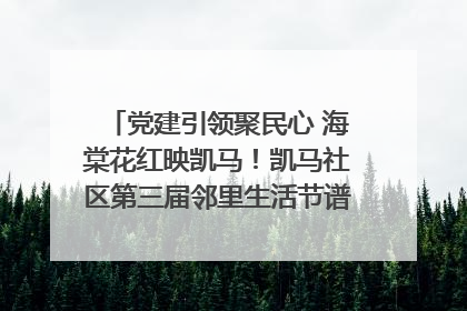 党建引领聚民心 海棠花红映凯马！凯马社区第三届邻里生活节谱写幸福新篇章