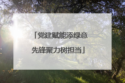 党建赋能添绿意 先锋聚力树担当