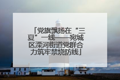 党旗飘扬在“三夏”一线——宛城区溧河街道党群合力筑牢禁烧防线