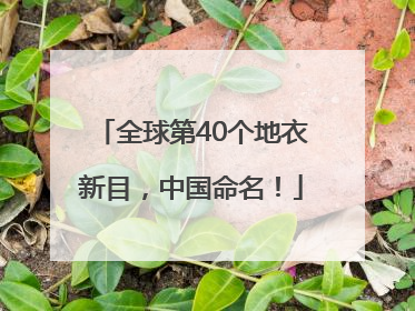 全球第40个地衣新目，中国命名！