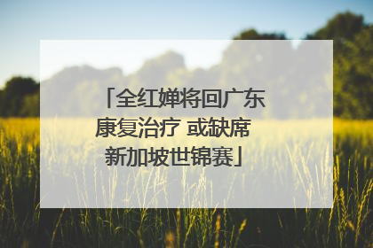 全红婵将回广东康复治疗 或缺席新加坡世锦赛