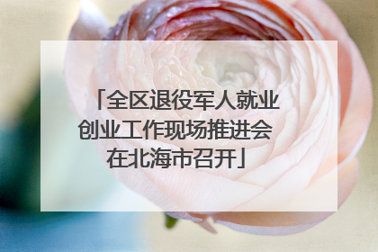 全区退役军人就业创业工作现场推进会在北海市召开