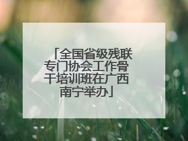 全国省级残联专门协会工作骨干培训班在广西南宁举办