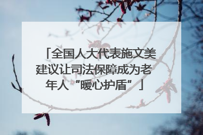 全国人大代表施文美建议让司法保障成为老年人“暖心护盾”