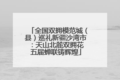 全国双拥模范城（县）巡礼新疆沙湾市：天山北麓双拥花 五届蝉联铸辉煌