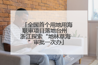 全国首个用地用海联审项目落地台州 浙江探索“地林草海”审批一次办
