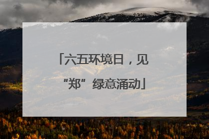 六五环境日，见“郑”绿意涌动